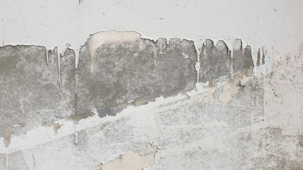 Efflorescence